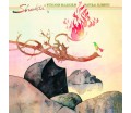Shakti With John McLaughlin ‎- Natural Elements (Vinyl LP)